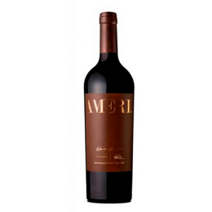 DOMAINE BOUSQUET AMERI MALBEC