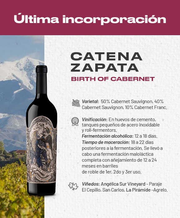 Birth-cabernet