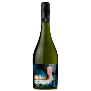 CHATEAU SUBSONICO ASTI